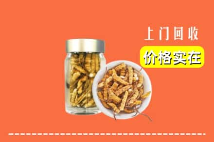 收购资讯:涡阳县回收散虫草