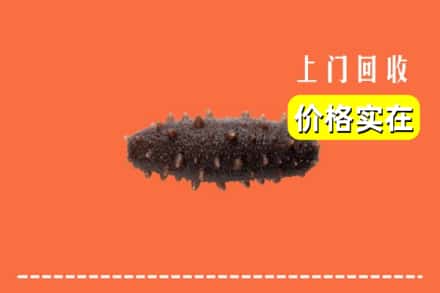 收购资讯:涡阳县回收海参